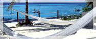 Restaurant in dolphindiscovery location