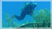 shipwrecks cayman islands